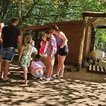 Mobil Avec Terrasse, 4 Personnes - Api-1-52-1073 אתר קמפינג *